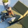New Double bain de soleil haut de gamme vert et noir "Terrasse" Bain De Soleil