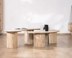 Hot Duo de tables basses design épuré en manguier "Jappy" forme haricot Table D'Appoint