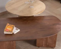Discount Duo de tables basses en manguier naturel et marron finition sablée