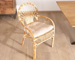 Online Elégant fauteuil de jardin en rotin avec assise rembourrée