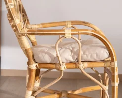 Online Elégant fauteuil de jardin en rotin avec assise rembourrée