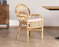 Online Elégant fauteuil de jardin en rotin avec assise rembourrée