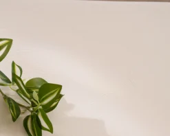 Best Table basse forme organique en micro-ciment teinté crème 