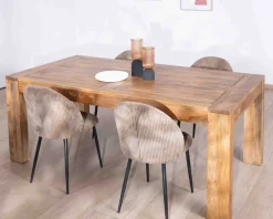 Online Table de repas extensible 200 à 290 cm